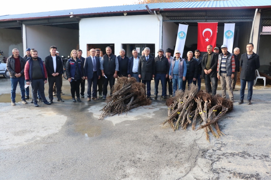 Üreticilerin Meyve Fidanları Büyükşehir’den