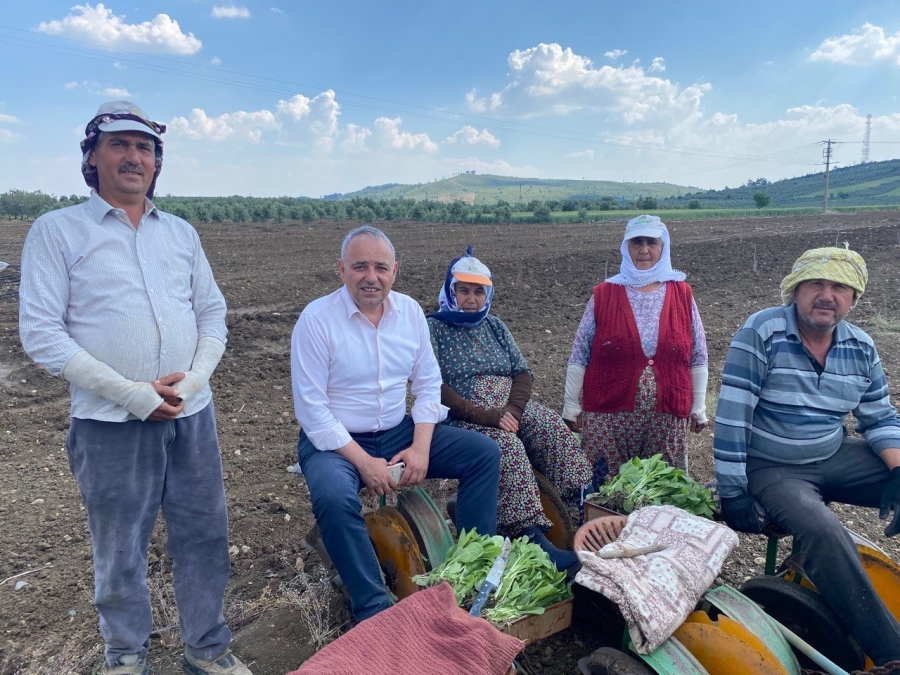 Bakırlıoğlu 