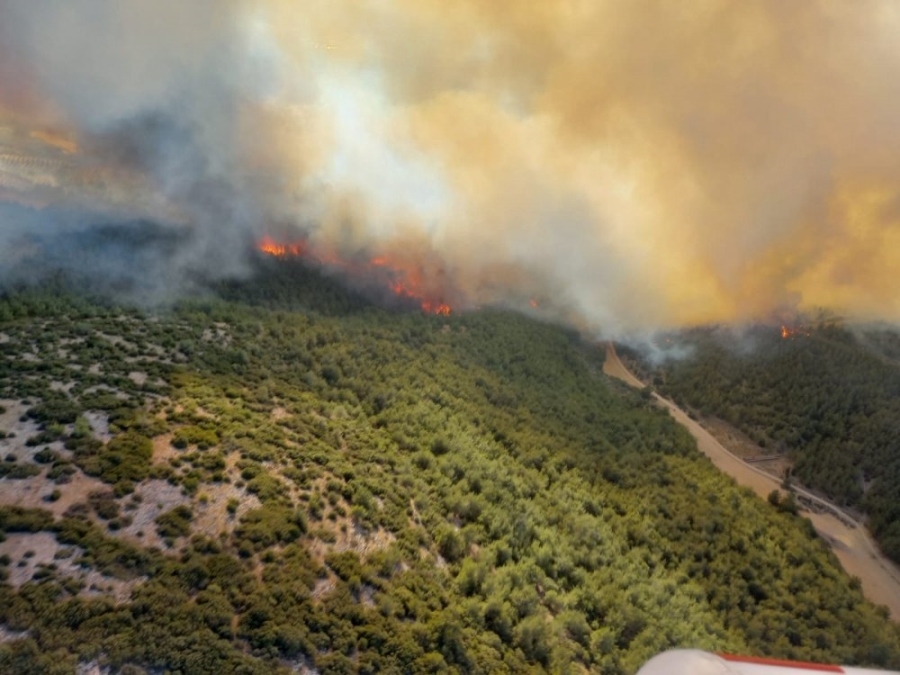 Akhisar’daki orman yangını büyüdü