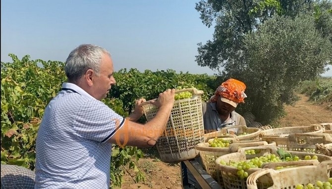 Bakırlıoğlu, Kuru Üzüm Fiyatında Hayal Kırıklığı