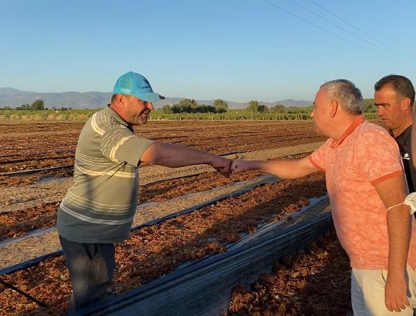  BAKIRLIOĞLU KURU ÜZÜM ALIMINA HEMEN BAŞLANMALI