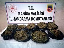 Manisa jandarması ocak ayında uyuşturucudan  104 şüpheli yakalandı