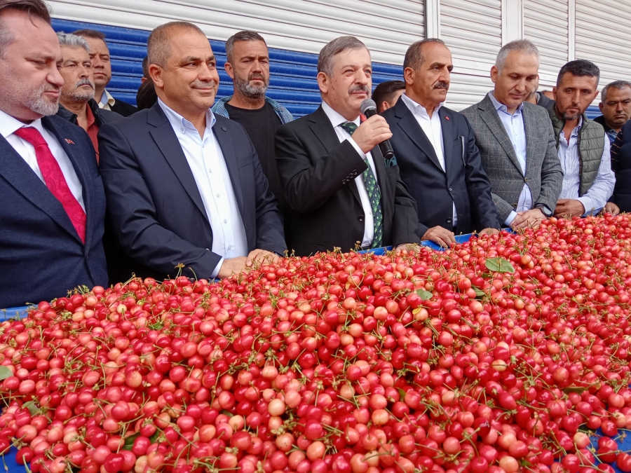 MANİSA