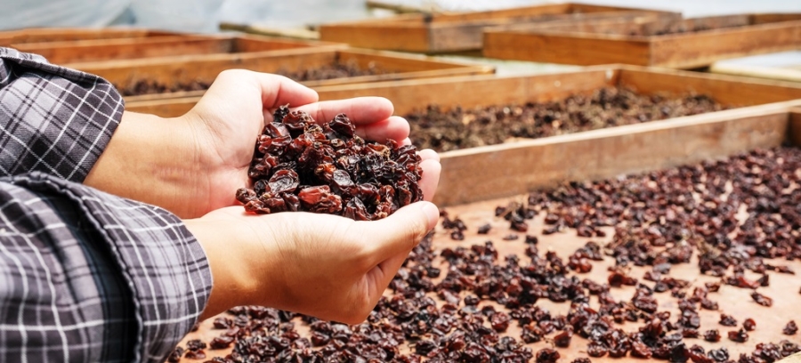 Kuru meyve sektörünün öncelikli başlıkları kalite ve gıda güvenliği