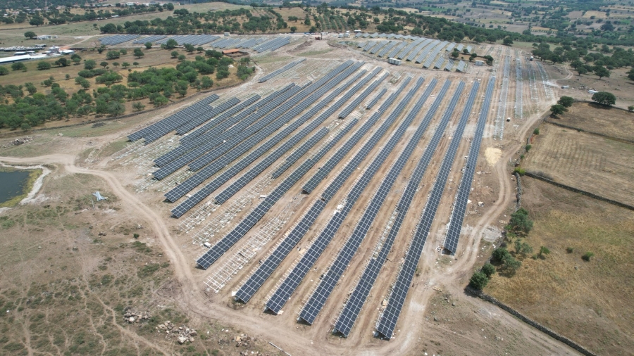 Manisa