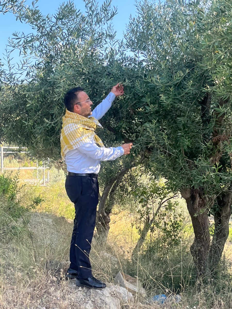 BAŞKAN İKSİR “ ZEYTİNDE BÜYÜK BİR DOĞAL AFET İLE KARŞI KARŞIYAYIZ”