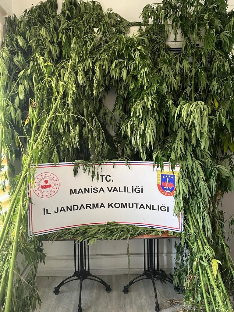 Manisa il Jandarma Komutanlığından uyuşturucuya geçit yok.. 