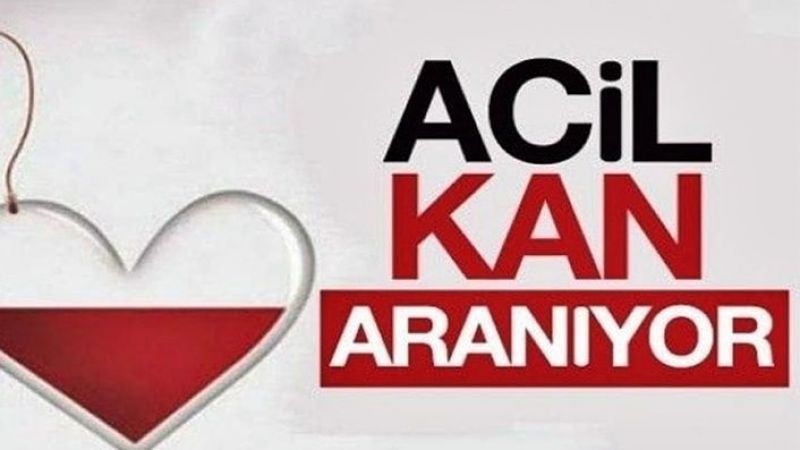 KAN ARANIYOR... 