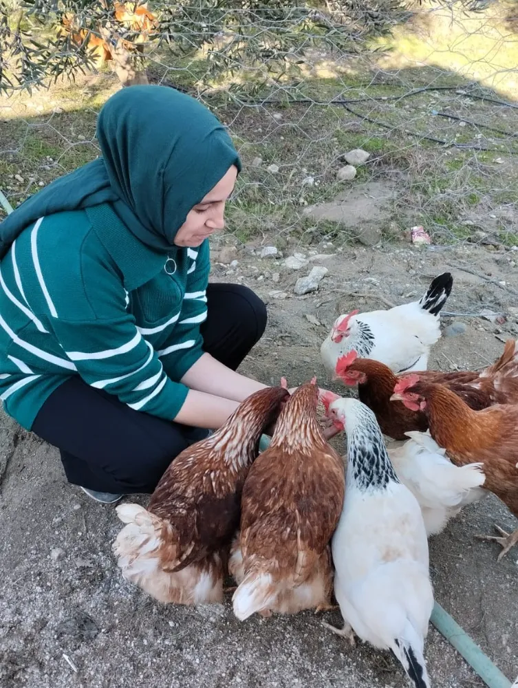 VATANDAŞLARDAN GEZEN TAVUK YUMURTASINA BÜYÜK TALEP VAR