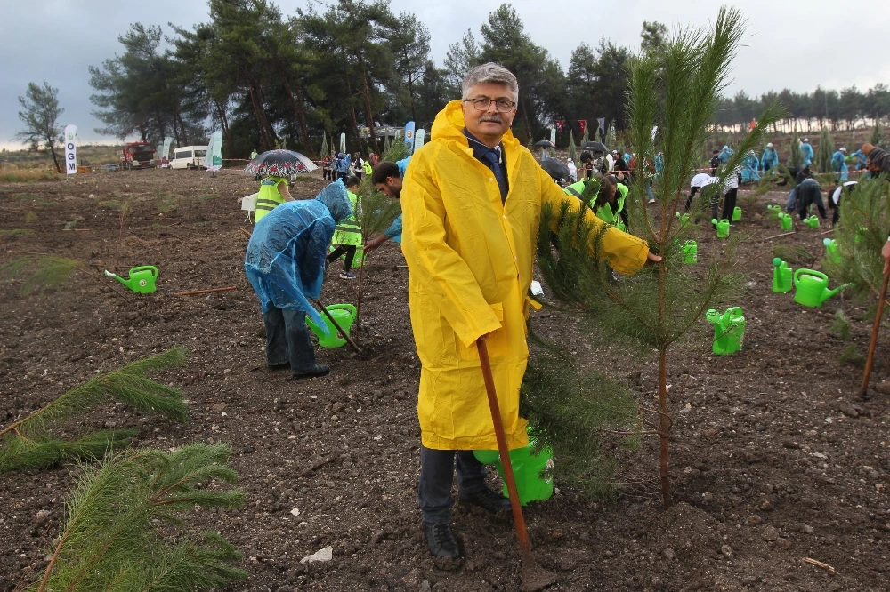 İzmir’de “Yeşil Vatan Seferberliği”yle 115 Bin Fidan Toprakla Buluştu
