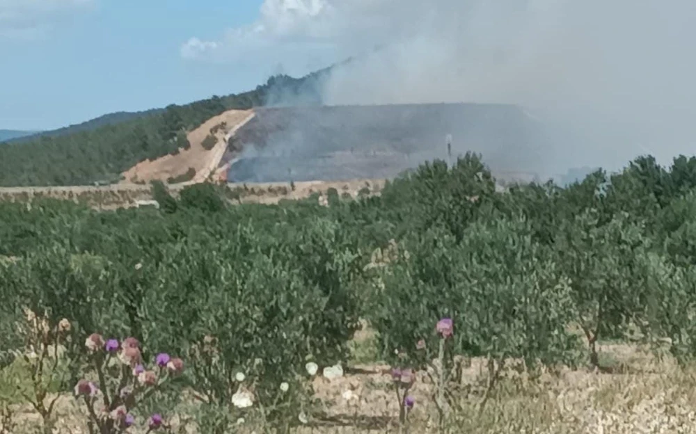 Soma Yırca Mahallesi’nde Orman Yangını: Müdahale Sürüyor