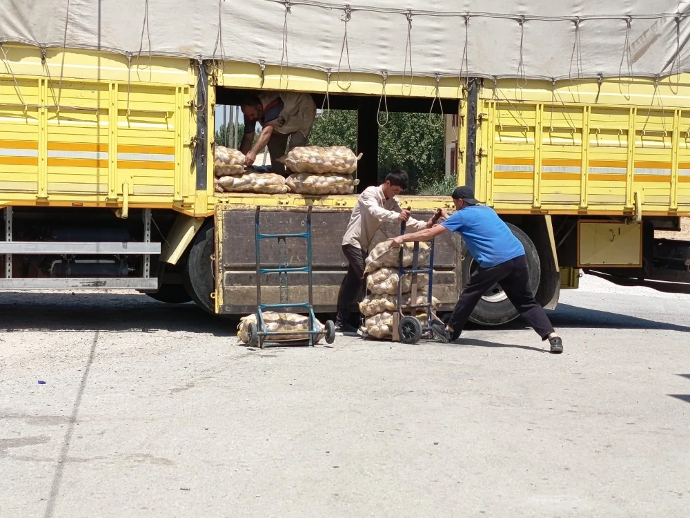 Manisa’da Örnek Dayanışma: Muhtar Barış Baş’tan 20 Ton Patates Desteği