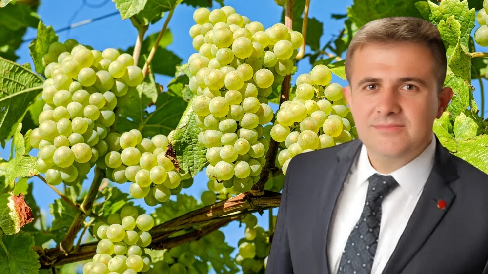 Saadet Partisi’nden Üzüm Tepkisi: “150 TL Olmalı”