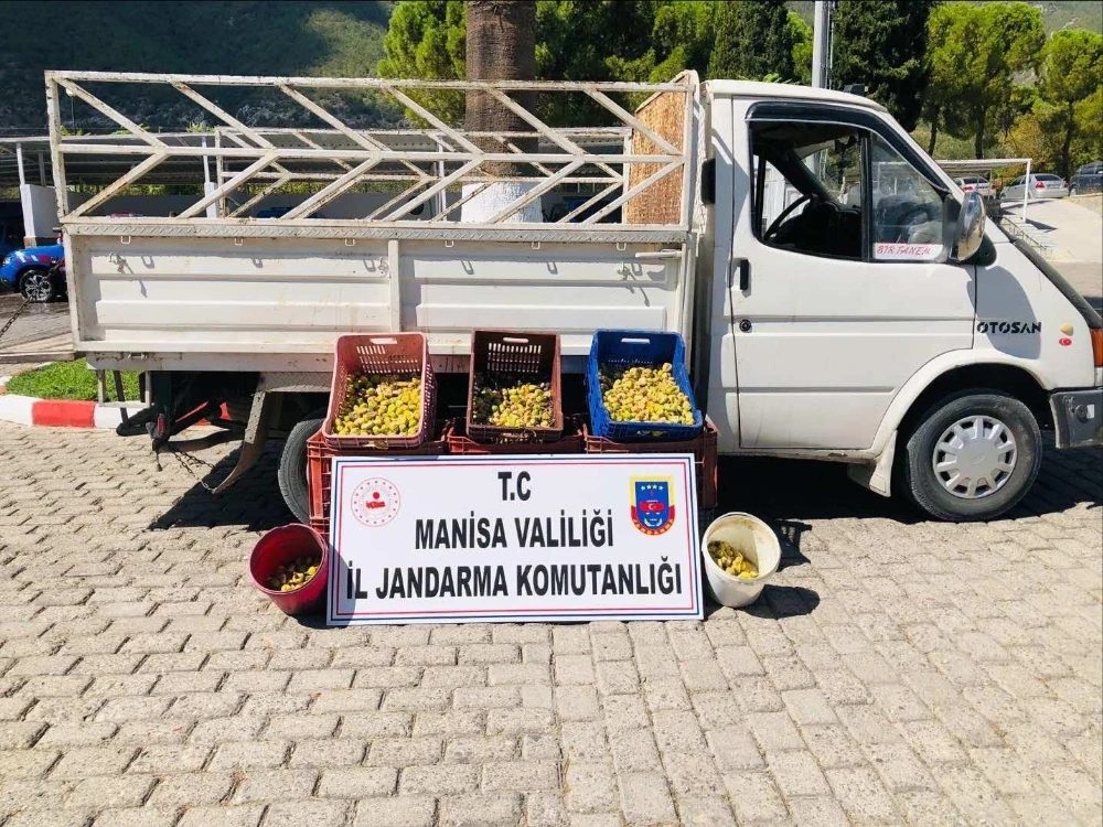 Kırkağaç’ta Meyve Bahçesinden İncir Çalan 5 Kişi Suçüstü Yakalandı