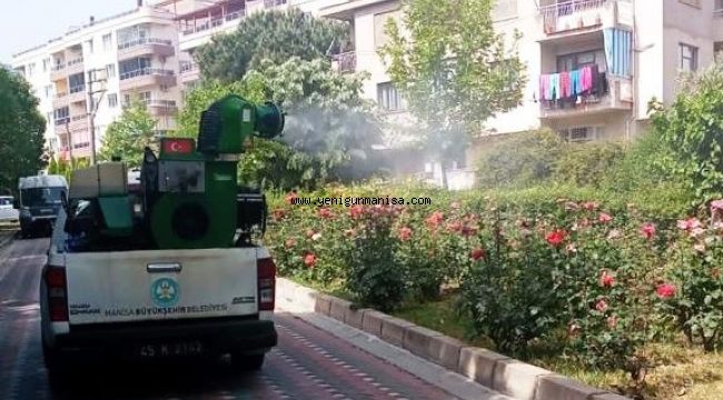 MANİSA BÜYÜKŞEHİR  HAŞEREYLE MÜCADELE ÇALIŞMALARINA DEVAM EDİYOR