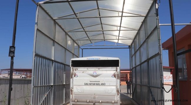 Kula Belediyesi  Hayvan Pazarı, Tedbirlerle Yeniden Açıldı 