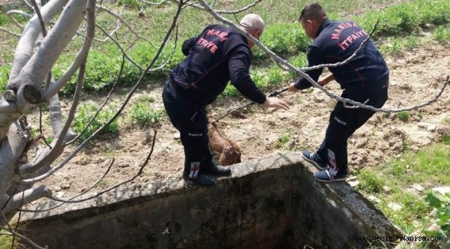 Onlar Tam Bir ‘Can Kurtaran’