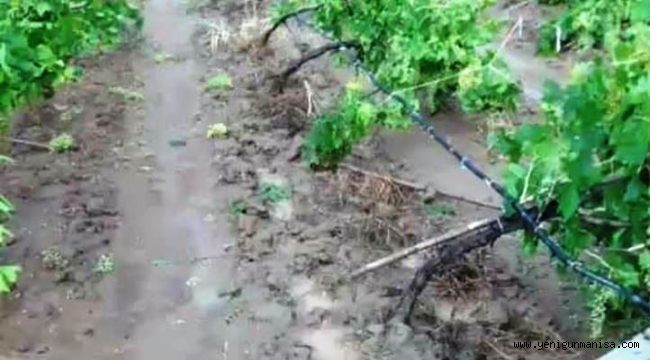 Alaşehir belediyesinden fırtına mağduru çiftçiye 2 bin bağ direği 