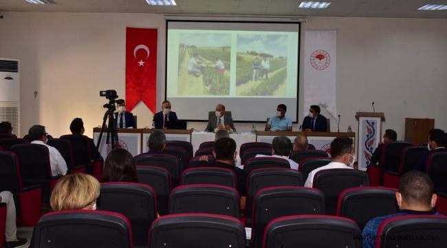 Vali Karadeniz  Domates Üreticileri ve Salça Fabrikası Yöneticileriyle Değerlendirme Toplantısı Yapıldı