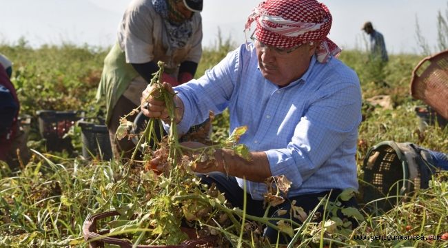 BAŞKAN ÇERÇİ DOMATES ÜRETİCİSİYLE BULUŞTU