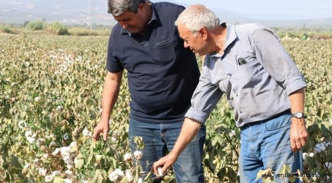 OKUR” PAMUK 5 TL.’DEN SATILMALI”