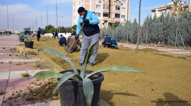 Susuzluğa Dayanıklı Bitkiler Manisa’yı Renklendirecek