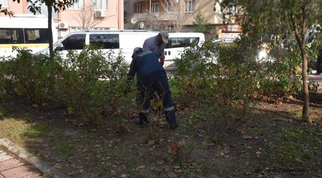 YUNUSEMRE’DE PARKLARIN BAKIMI YAPILIYOR