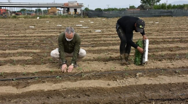 Manisa İl Tarım ve Orman İl Müdürü  Öztürk çiftçilerle bir araya geldi