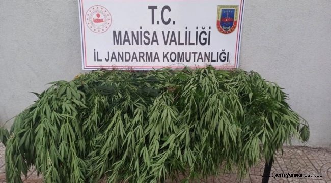 Manisa