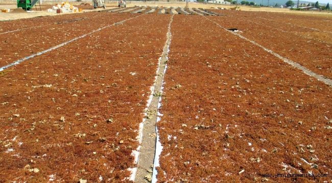 Saruhanlı Ziraat Odası