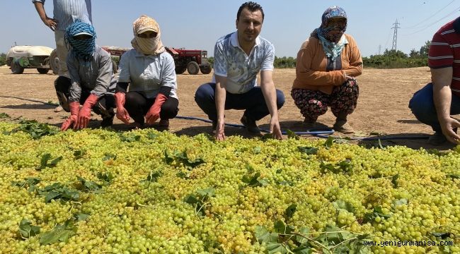  Başevirgen “ İktidarın Aklı Fikri Yabancı Çiftçide “
