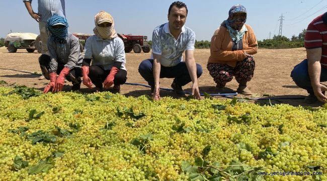  Başevirgen “ İktidarın Aklı Fikri Yabancı Çiftçide “