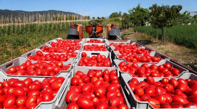 Organik sektörü çocukları radarına alacak