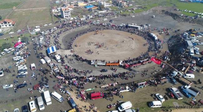 Salihli 8. Geleneksel Deve Güreşi Festivali İle Şenlendi