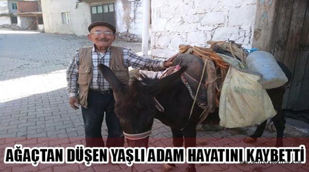 AĞAÇTAN DÜŞEN YAŞLI ADAM HAYATINI KAYBETTİ