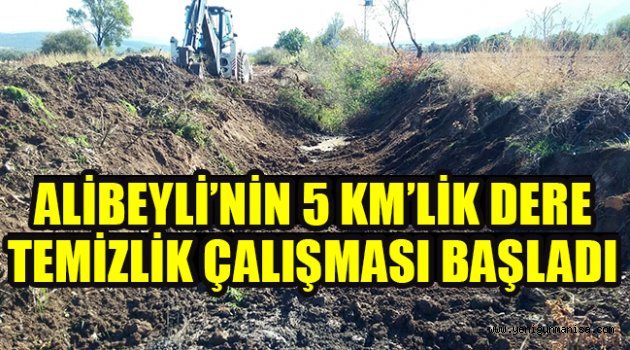 ALİBEYLİ’NİN 5 KM’LİK DERE TEMİZLİK ÇALIŞMASI BAŞLADI
