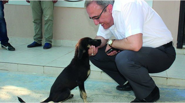 Başkan Karaçoban’dan Sokak Hayvanları Geçici Bakım Merkezine Ziyaret