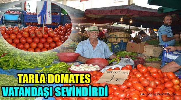 DOMATES ÜRETİCİSİ VATANDAŞIN YÜZÜNÜ GÜLDÜRDÜ