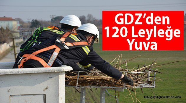 GDZ Elektrik Dağıtım