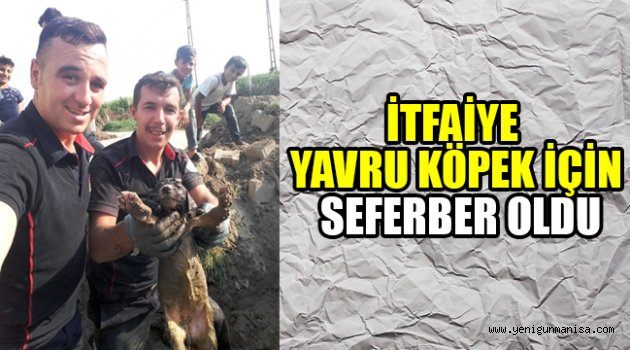 İTFAİYE YAVRU KÖPEK İÇİN SEFERBER OLDU