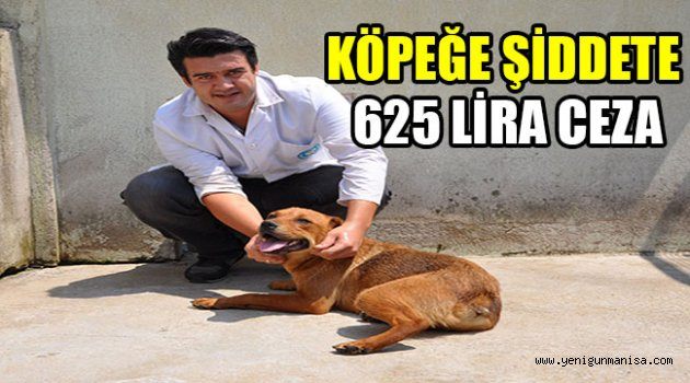 KÖPEĞE ŞİDDETE 625 LİRA CEZA