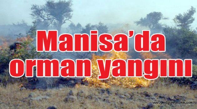 Manisa’da orman yangını