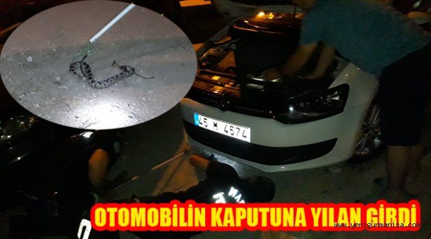 OTOMOBİLİN KAPUTUNA YILAN GİRDİ