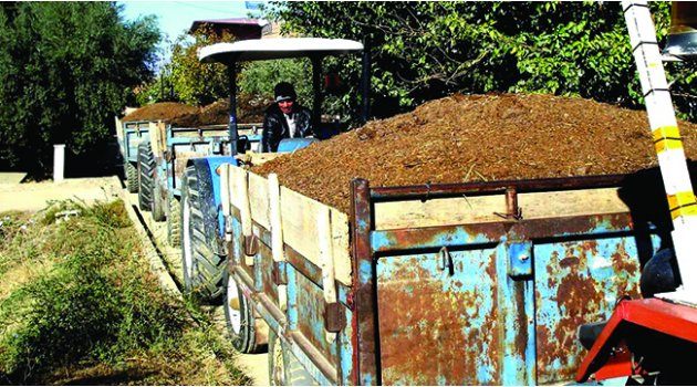 Sarıgöl Üzüm Bağlarına Doğal Gübre