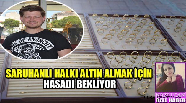 SARUHANLI HALKI ALTIN ALMAK İÇİN HASADI BEKLİYOR