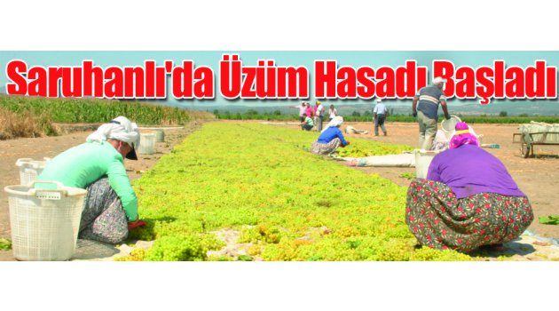 Saruhanlı
