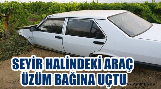 SEYİR HALİNDEKİ ARAÇ ÜZÜM BAĞINA UÇTU