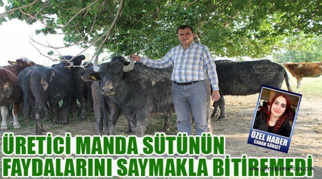ÜRETİCİ MANDA SÜTÜNÜN FAYDALARINI  SAYMAKLA BİTİREMEDİ