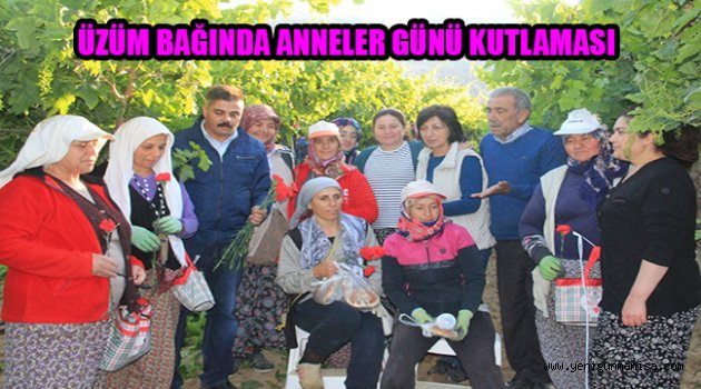 ÜZÜM BAĞINDA ANNELER GÜNÜ KUTLAMASI