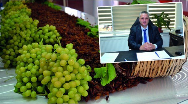 Üzüm Üreticisine 
